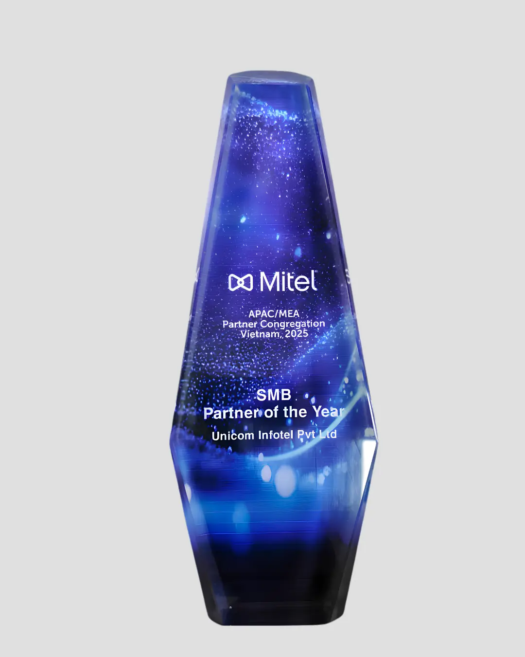 Mitel — SMB Partner of the Year
